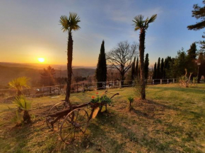 Villa el Pavo Real Arezzo Arezzo